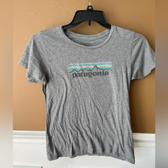 Patagonia Women’s Gray Graphic Short Sleeve T-Shirt Size Small - Picture 2 of 7